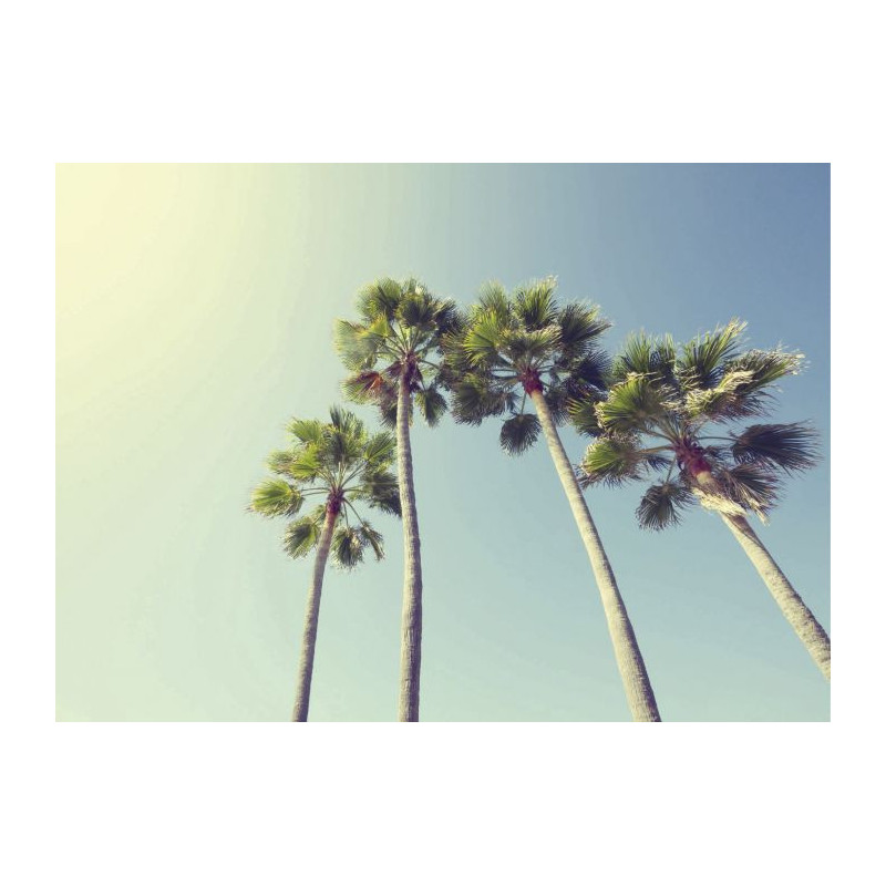 UNDER THE PALM TREES Canvas print - Office canvas print