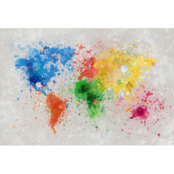 Poster carte du monde colorée