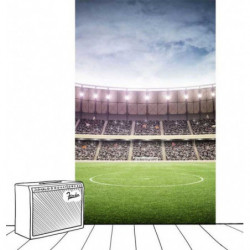 FOOTBALL STADIUM Wall hanging