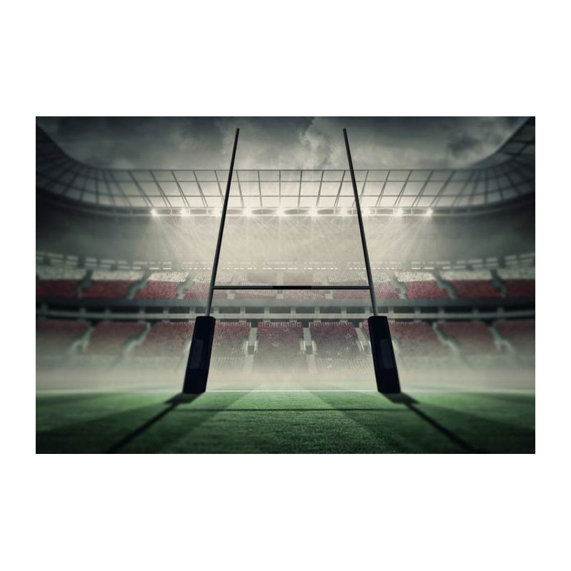 Poster STADE DE RUGBY - Poster sport