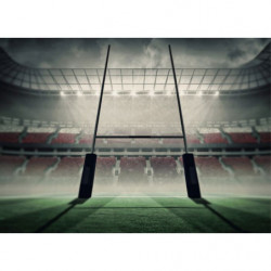 Tableau STADE DE RUGBY