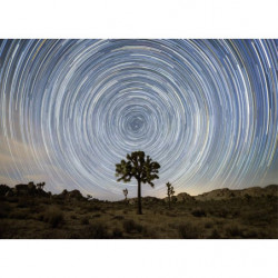 Cuadro en lienzo STARSTRAIL