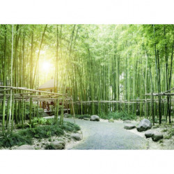 GREEN BAMBOO TREES Canvas print