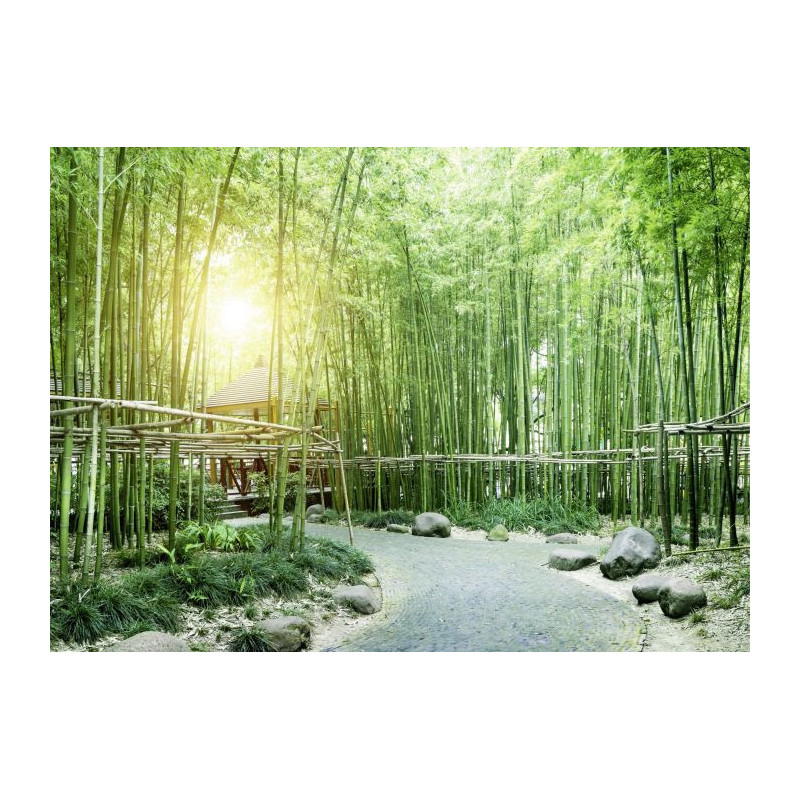 GREEN BAMBOO TREES Canvas print - Xxl canvas prints