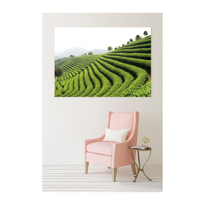 GREEN TEA canvas print