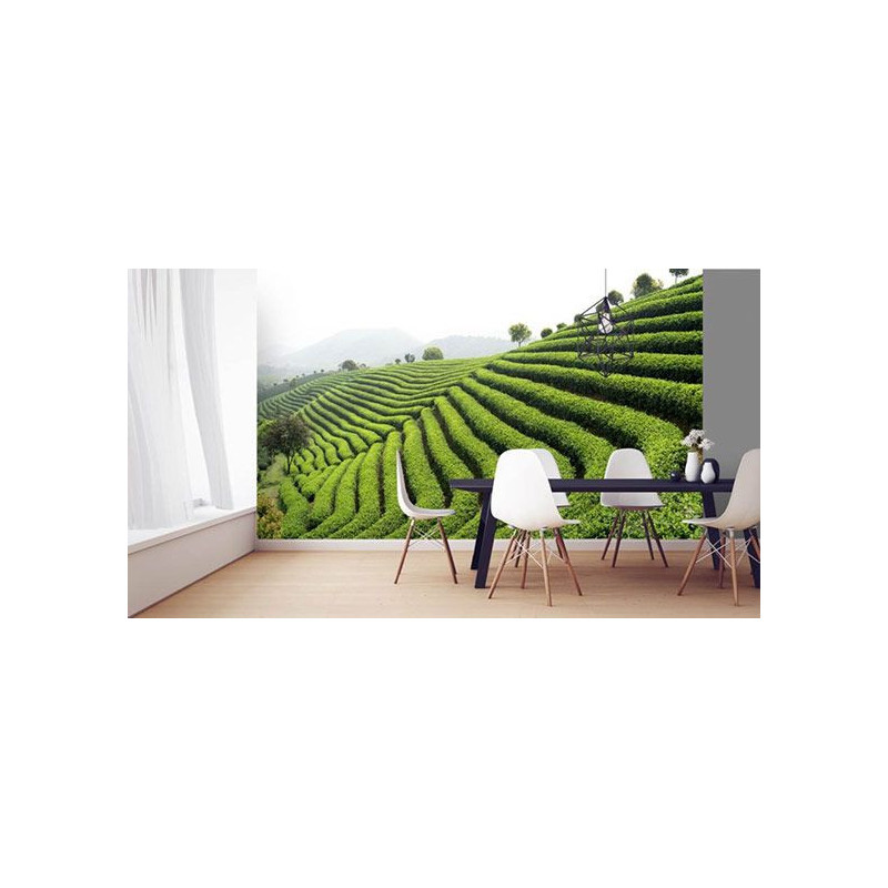 Papel pintado TÉ VERDE
