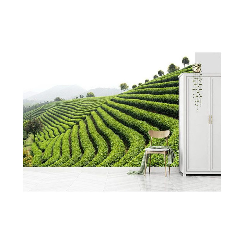 GREEN TEA poster
