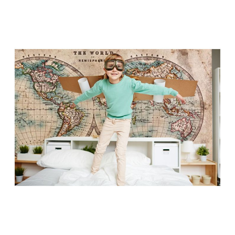 Papier Peint THE WORLD IN HEMISPHERES