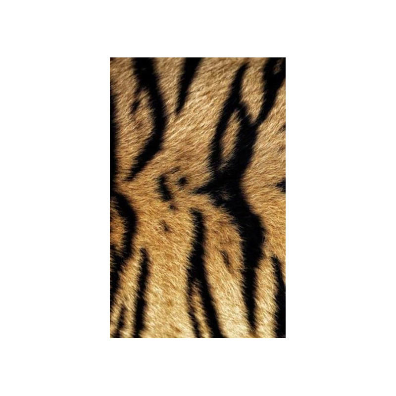 BENGAL TIGER wall hanging - Trompe l oeil wall hanging