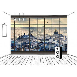 PARIS ROOFS Poster