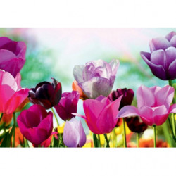 Tableau TULIPE COLORS