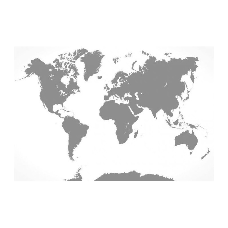 Papier peint panoramique UNE NUANCE DE GRIS - Papier peint carte du monde
