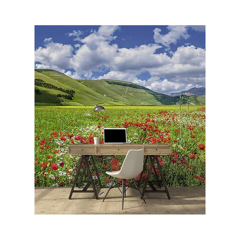 Papier Peint bureau VALLÉE DES COQUELICOTS
