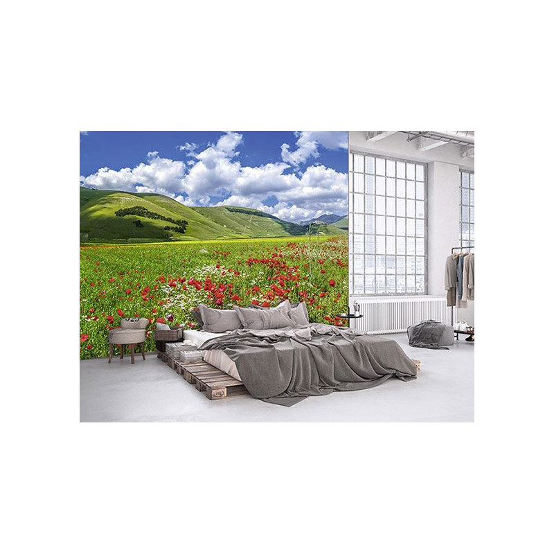 Póster VALLE DE LAS AMAPOLAS