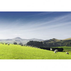 Póster VALLE VERDE