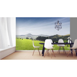 Póster VALLE VERDE
