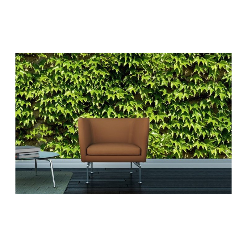 VIRGINIA CREEPER Wallpaper