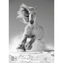 Tableau WHITE HORSE