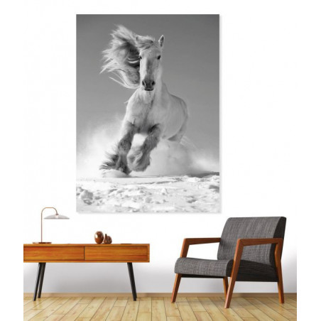 WHITE HORSE Canvas print