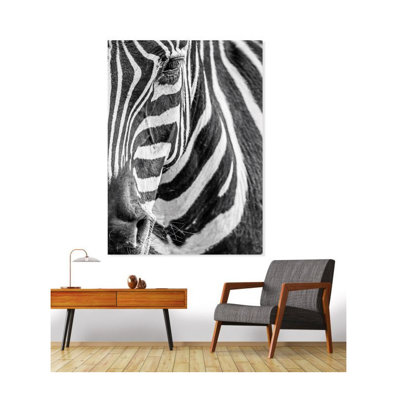 ZEBRE canvas print
