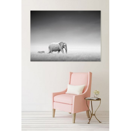 ZEBRA AND ELEPHANT Canvas print