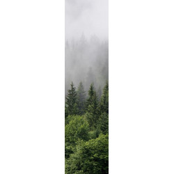 Papier Peint BRUME EN FORET