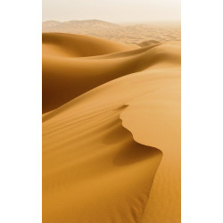 SAHARA DESERT Poster