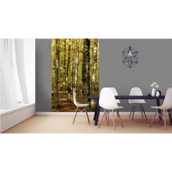 Póster BOSQUE DEL VENTOUX