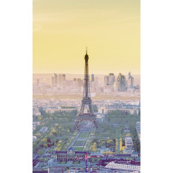 Póster VISTA GRÁFICA DE PARÍS