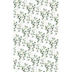 Póster EUCALIPTO VERDE
