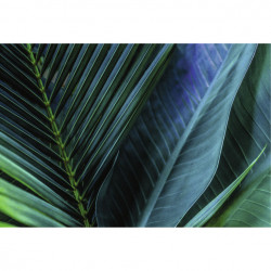 TROPICAL LEAF canvas print