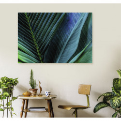 Cadre décoratif représentant un feuillage tropical