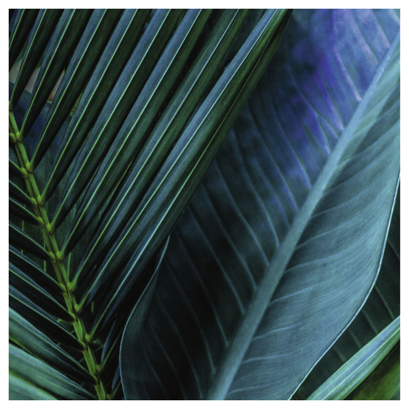 TROPICAL LEAF canvas print - Jungle canvas print