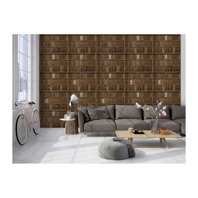 Papier peint salon imitation bibliotheque ancienne