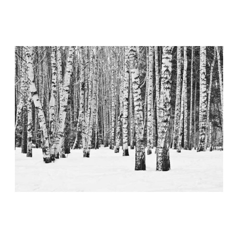 Lienzo impreso BOSQUE BLANCO Y NEGRO - Lienzo escandinavo