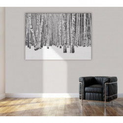 BLACK AND WHITE FOREST Canvas print