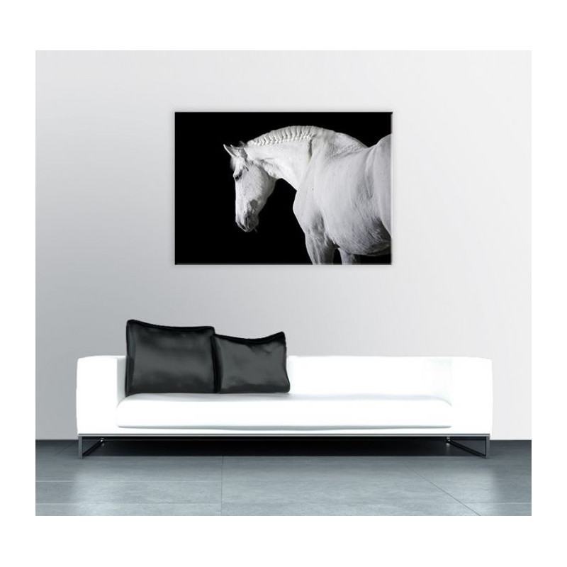 Cuadro en lienzo CABALLO BLANCO Y NEGRO
