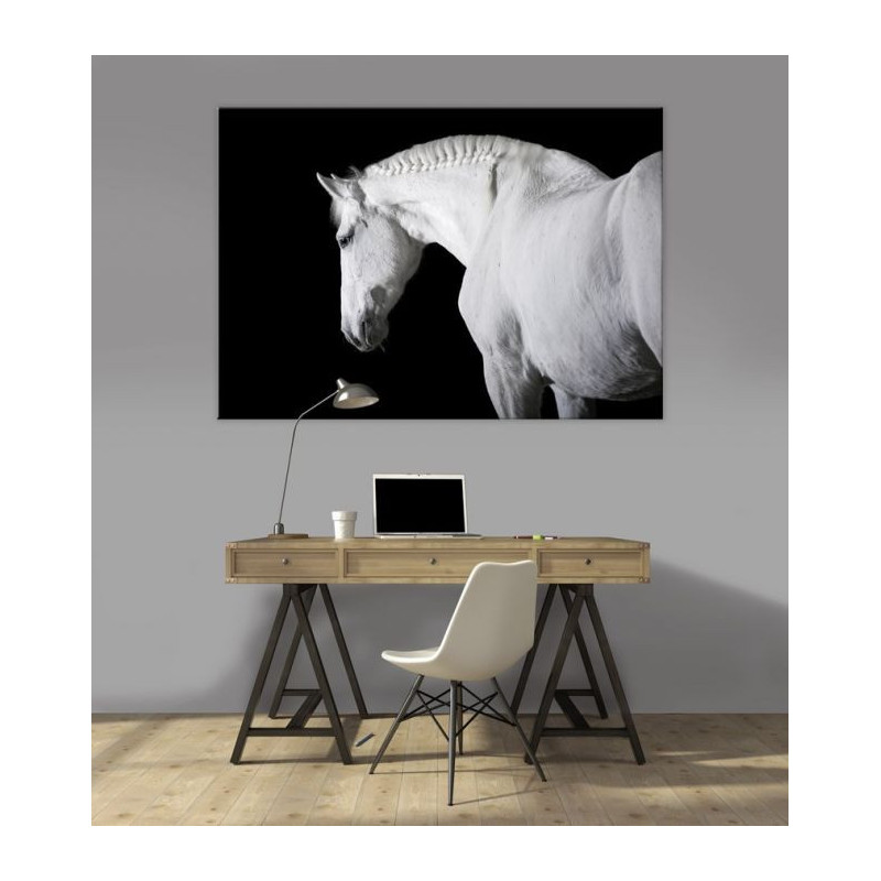 Póster CABALLO BLANCO Y NEGRO