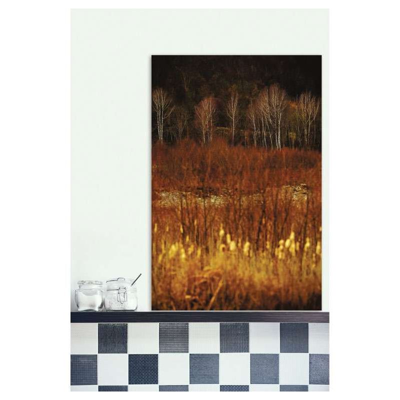 Tableau IMPRESSION BOULEAUX