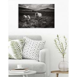 IRELAND WEST COAST canvas print