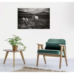 IRELAND WEST COAST canvas print