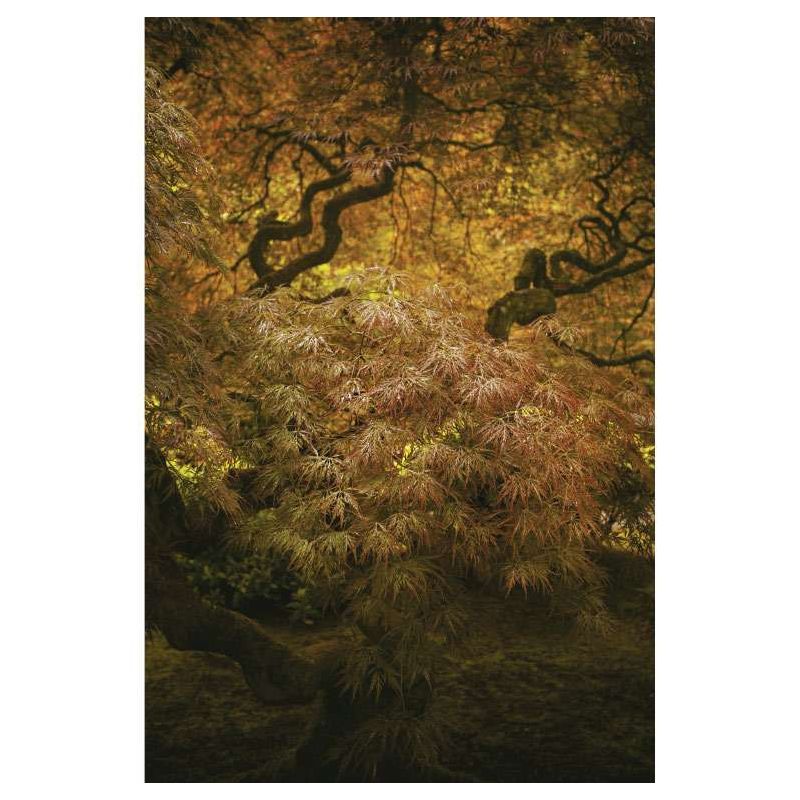 JAPANESE GARDEN PORTLAND canvas print - Autumn canvas print