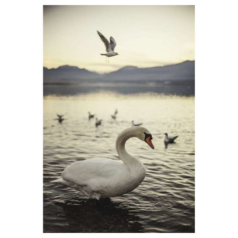 Tableau CYGNE D'ANNECY - Tableau animaux