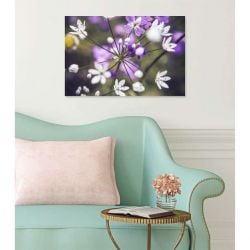 Tableau fleur OMBELLIFERE