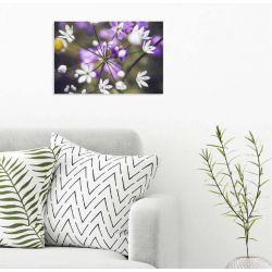 Tableau nature OMBELLIFERE