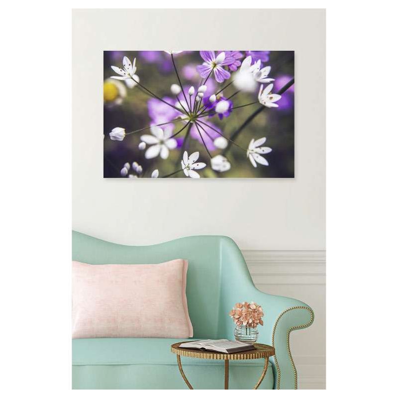 Tableau OMBELLIFERE