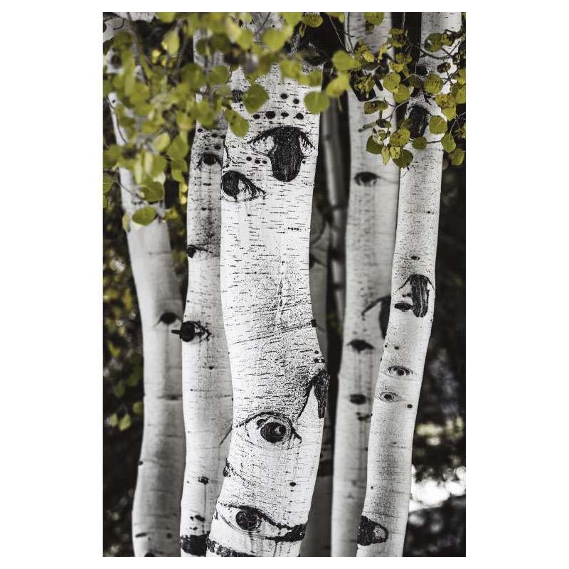 ASPEN USA canvas print - Landscape and nature canvas