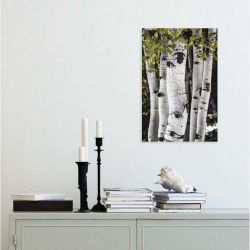 ASPEN USA canvas print