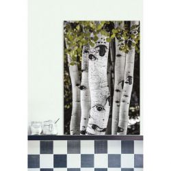 ASPEN USA canvas print