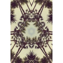 KALEIDOSCOPIC PALM TREES canvas print